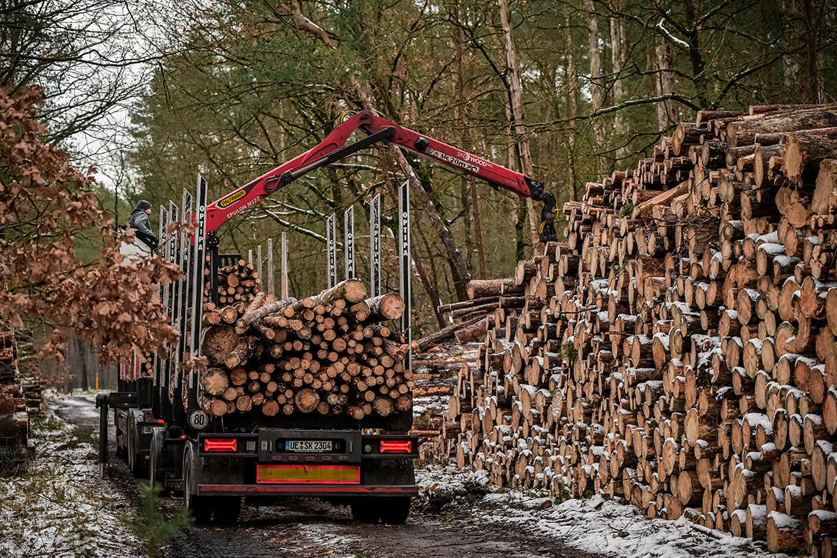 Foto Brennholz-Anlieferung