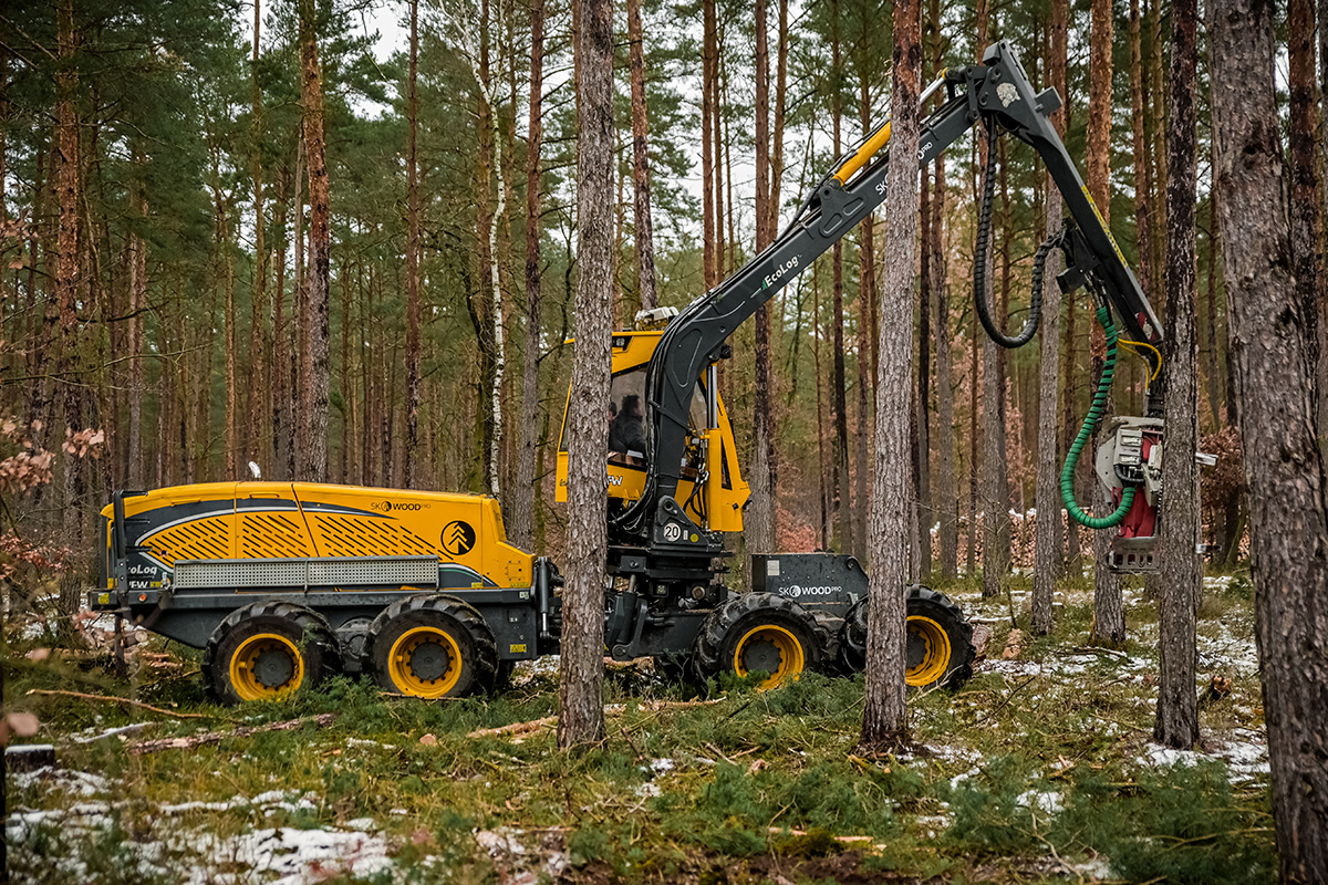Bild Stellenangebot Forstmaschinenführer