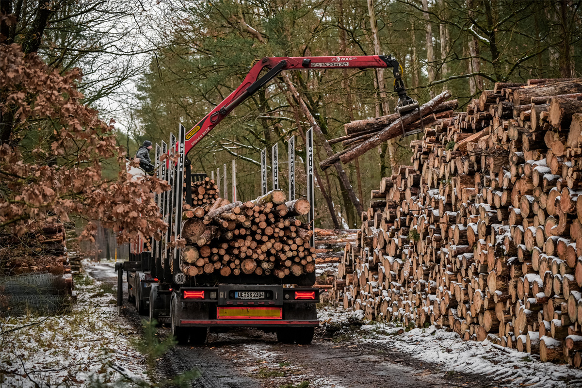 Bild Rundholz-Logistik